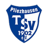 SGM TSV Pliezhausen II